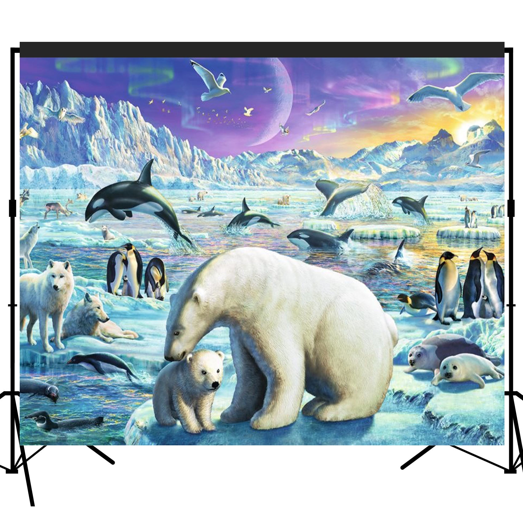 Polar Animals with Aurora Scenic Backdrop Photography Studio Fabric Background 7x6feet