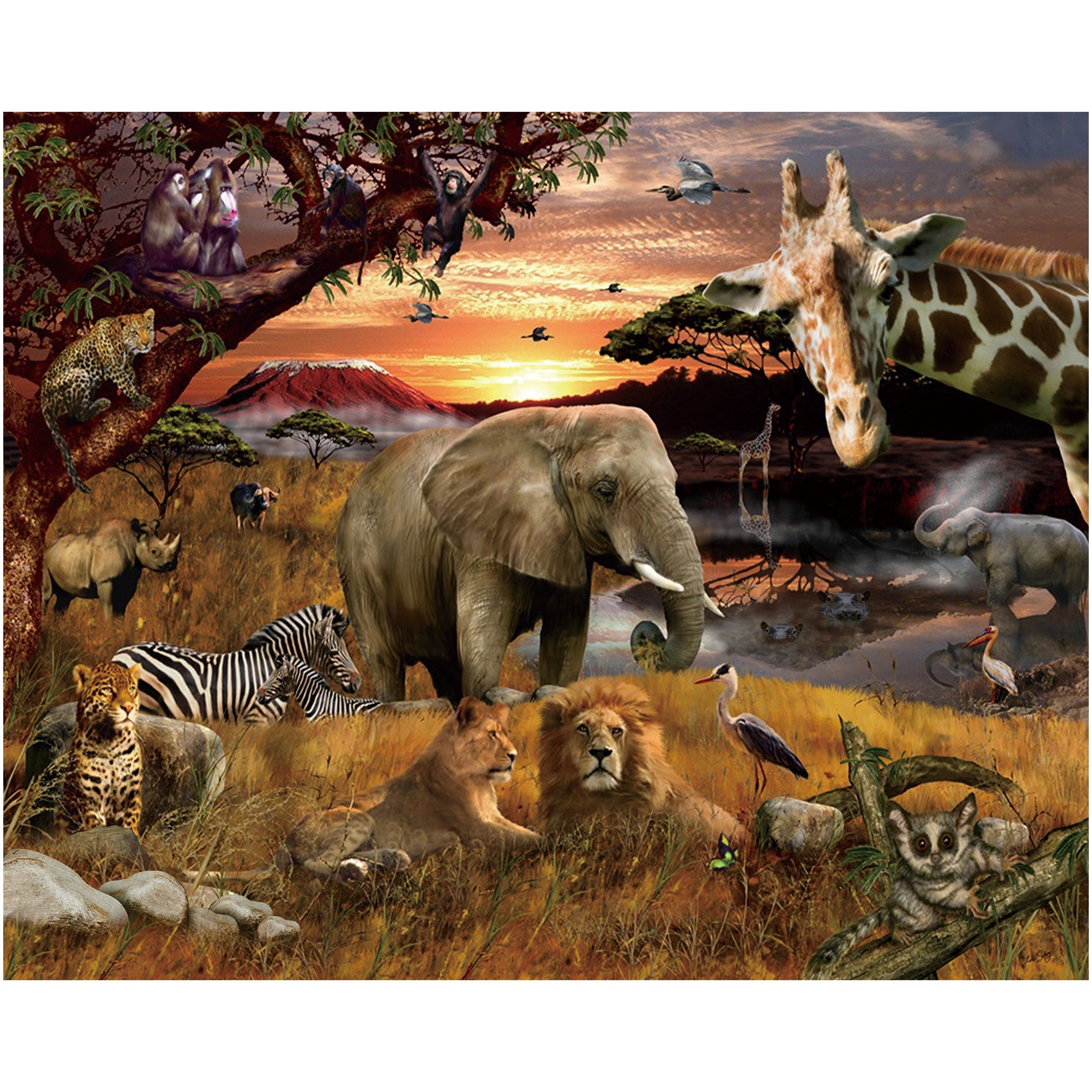 Tropical African Forest Jungle Backdrop Photography Studio Fabric Background 7x6feet #2195